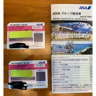 エーエヌエー(ゼンニッポンクウユ)(ANA(全日本空輸))のANA株主優待券、グループ優待券(その他)