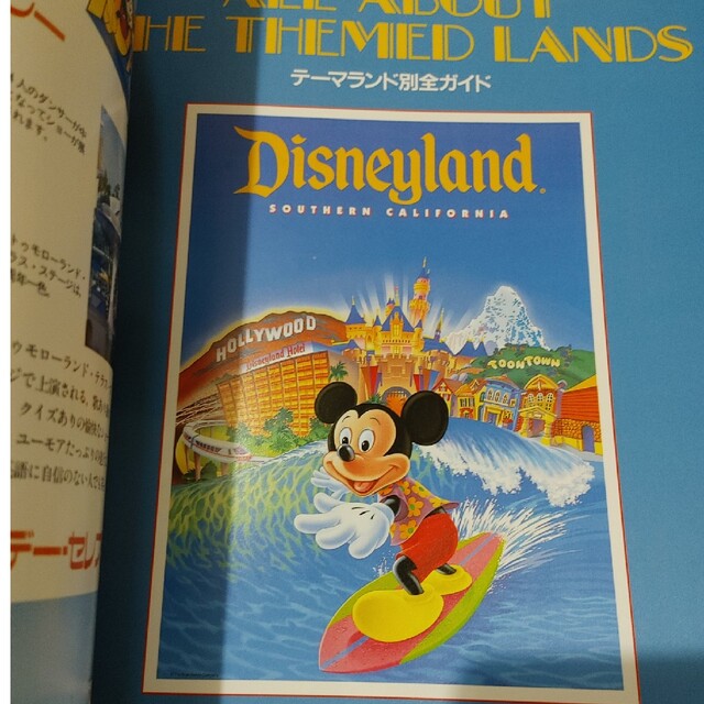 Disney(ディズニー)の海外 ディズニーリゾート 雑誌 ガイド ムック エンタメ/ホビーの本(地図/旅行ガイド)の商品写真