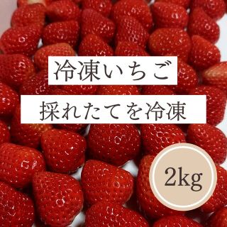 ケイスケ様専用ページ(2kg)朝採り冷凍いちご(フルーツ)