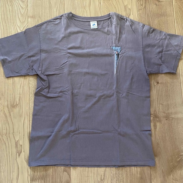 patagonia パタゴニア オーガニックコットンtシャツ M【送料込】 - T ...