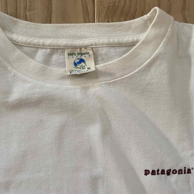 patagonia パタゴニア　オーガニックコットンtシャツ　M【送料込】