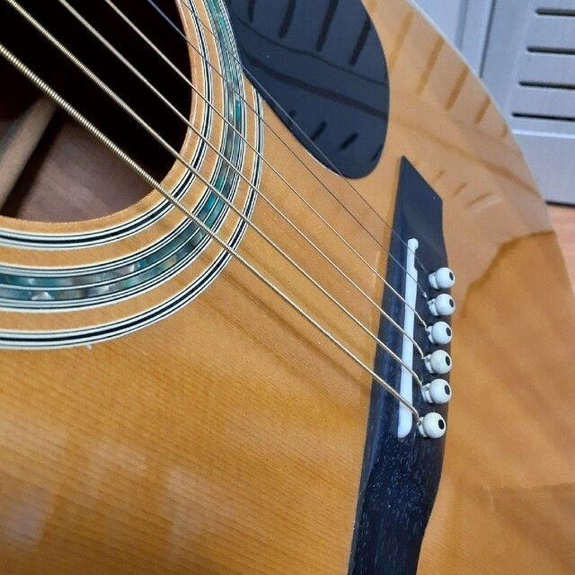 最終価格 Shree-S W-200 エレアコ GRGROVERペグ 手渡しOK 楽器のギター(アコースティックギター)の商品写真