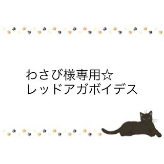 わさび様専用ページです！(その他)