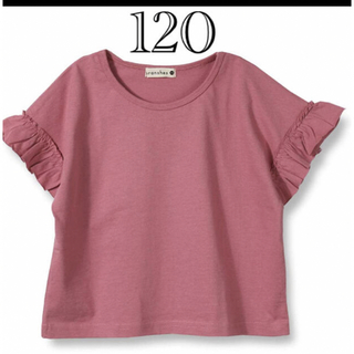 ブランシェス(Branshes)のブランシェス　半袖シャツ　120(Tシャツ/カットソー)