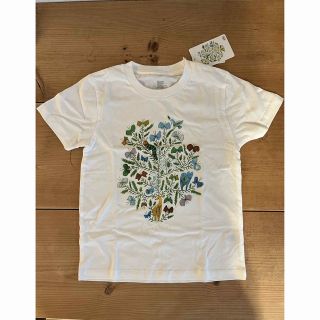 グラニフ(Design Tshirts Store graniph)の【120・未使用】はらぺこあおむしエリックカール　白　Tシャツ(Tシャツ/カットソー)