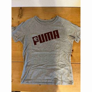 プーマ(PUMA)のPUMA プーマ Tシャツ　Mサイズ(Tシャツ(半袖/袖なし))