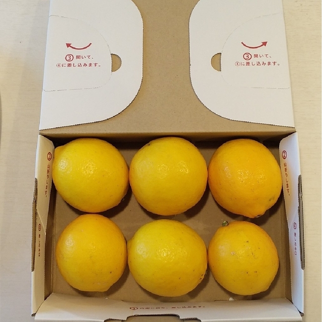 国産マイヤーレモン　約1kg 食品/飲料/酒の食品(フルーツ)の商品写真