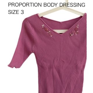 プロポーションボディドレッシング(PROPORTION BODY DRESSING)のPROPORTION BODY DRESSING 半袖ブラウス レーヨン混 3(シャツ/ブラウス(半袖/袖なし))