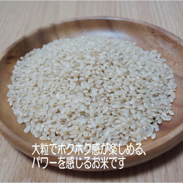 自然農法産　R07　プレミアムオーガニック「あいちのかおり」玄米１０kg　無農薬