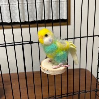 期間限定お試し品　小型インコに自然木のまるい止まり木 直径約6cm(鳥)