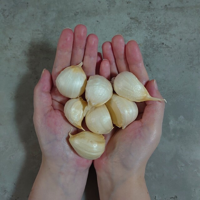 期間限定値下げ‼青森県産 ホワイト六片 ニンニク 500g R４年 食品/飲料/酒の食品(野菜)の商品写真