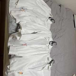 ワイシャツ　LES MUSES長袖　39 80 サイズ　M ノンアイロン　3枚(シャツ)