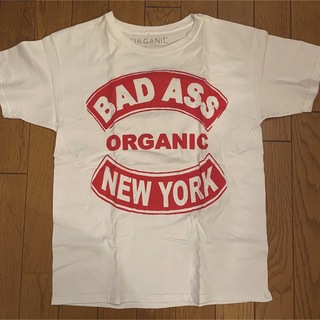 アメリカンラグシー(AMERICAN RAG CIE)のJohn Patrick organic Tシャツ(Tシャツ(半袖/袖なし))