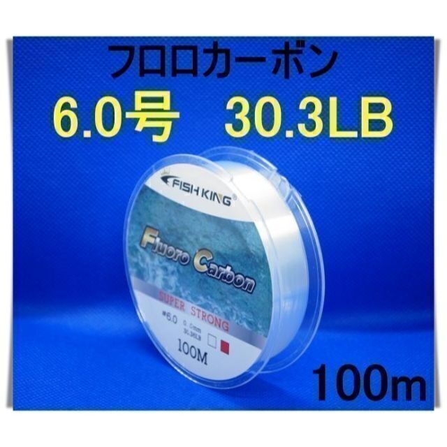 フロロカーボン　6.0号　(30.3LB) 100m 釣り糸　ライン リーダー スポーツ/アウトドアのフィッシング(釣り糸/ライン)の商品写真