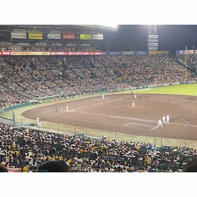 【みちき様 専用】阪神 対 巨人 チケットのスポーツ(野球)の商品写真