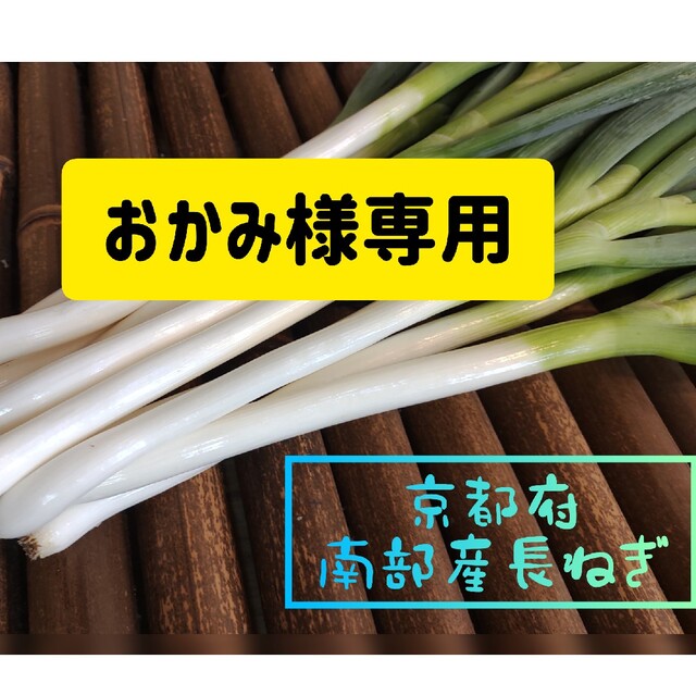 【おかみ様専用】京都産　白ネギ　長ネギ　新鮮 | フリマアプリ ラクマ