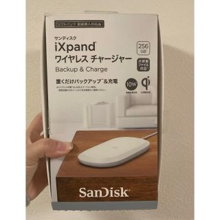 サンディスク iXpand ワイヤレスチャージャー 256GB(バッテリー/充電器)