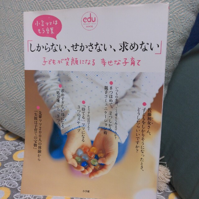 しからない、せかさない、求めない子どもが笑顔になる幸せな子育て 小言ママはもう卒 エンタメ/ホビーの雑誌(結婚/出産/子育て)の商品写真