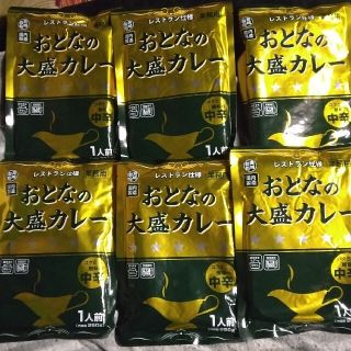 おとなの大盛カレー中辛6パック(その他)