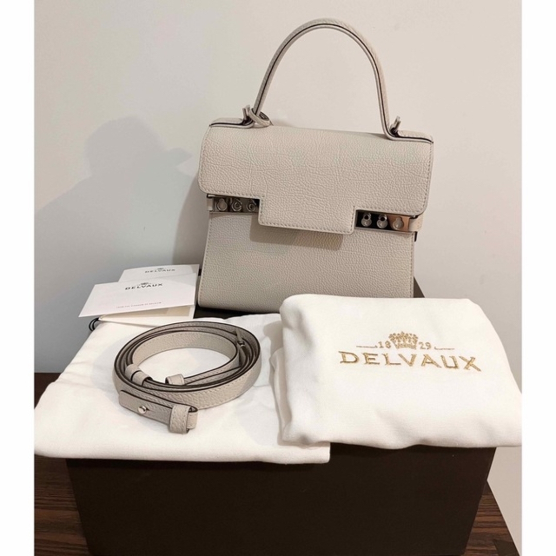 未使用に近い　delvaux タンペート　PM ミストラル　シルバー金具