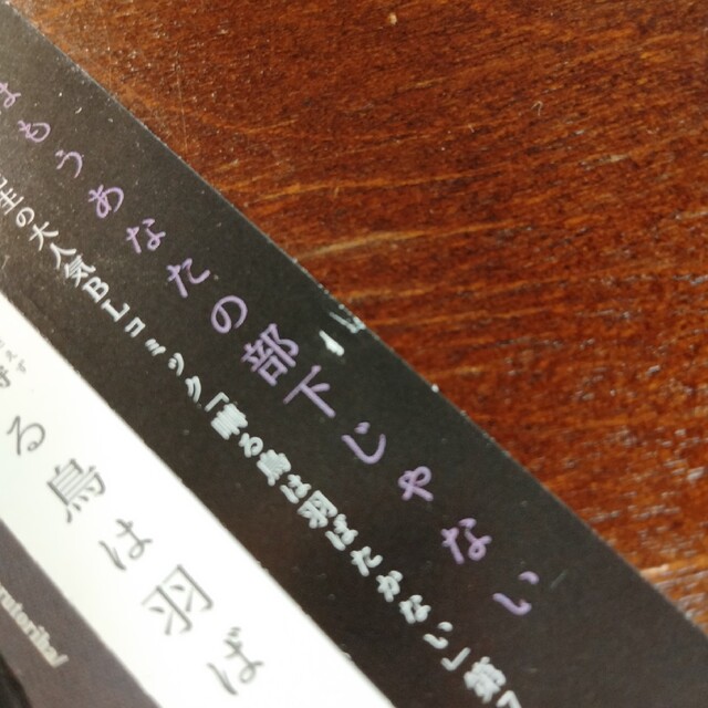 ※匿名配送　ドラマCD「囀る鳥は羽ばたかない」第7巻 エンタメ/ホビーのCD(CDブック)の商品写真