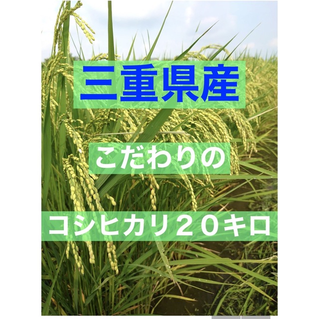 新米 お米 令和４年  三重県産 コシヒカリ 白米２０kg【一等米】白米