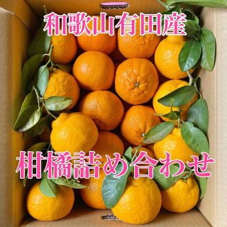 和歌山有田産 柑橘詰め合わせ🍊(フルーツ)