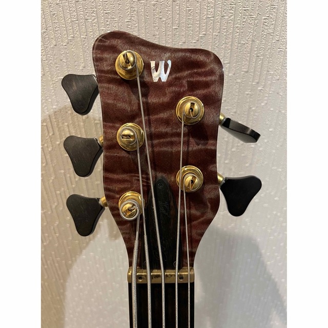 warwick streamer lx5