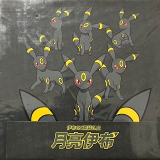 ポケモン gxギフトボックス 中国 ブラッキー