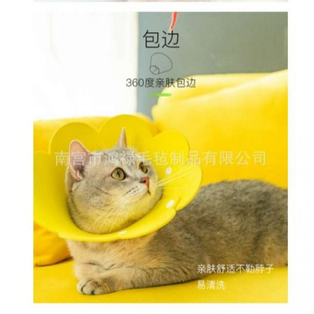 エリザベスカラー 猫 ネコ 軽量 ソフト LaLUCA ストレス軽減 黄 S その他のペット用品(猫)の商品写真