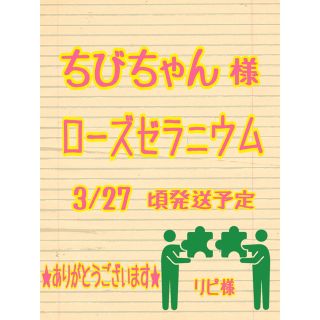 ちびちゃん様　ローズゼラニウム　カット苗　梱包材含め100g以内(その他)