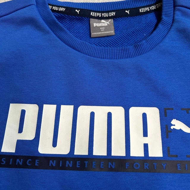 PUMA(プーマ)のプーマ　薄手トレーナー　子供　160 長袖Tシャツ キッズ/ベビー/マタニティのキッズ服男の子用(90cm~)(Tシャツ/カットソー)の商品写真