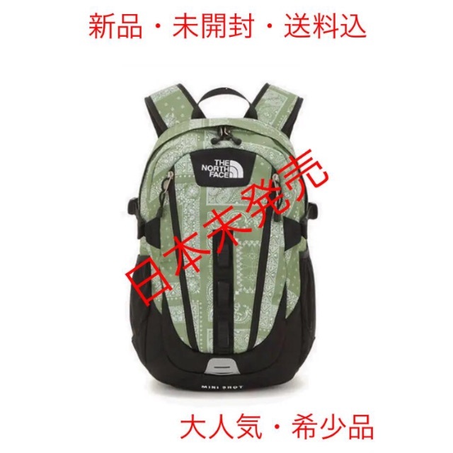 THE NORTH FACE■ノースフェイス■日本未発売■バックパック