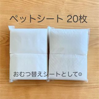 イオン(AEON)のおむつ替えマット　20枚　使い捨て　ペットシート (おむつ替えマット)