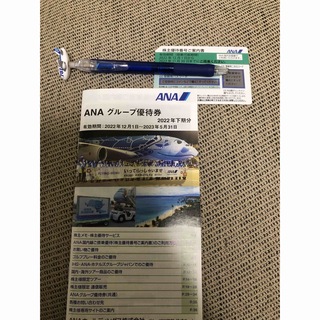 エーエヌエー(ゼンニッポンクウユ)(ANA(全日本空輸))のANA 株主優待券　1枚(その他)