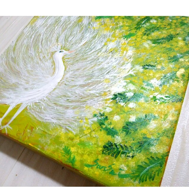 2年保証』 - 風水開運絵画*白孔雀とアカシア ミモザの光降る大地 吉兆