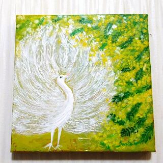 風水開運絵画*白孔雀とアカシア ミモザの光降る大地 吉兆 恋愛 金