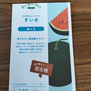 専用　自然農　固定種　種子　小分けセット(野菜)