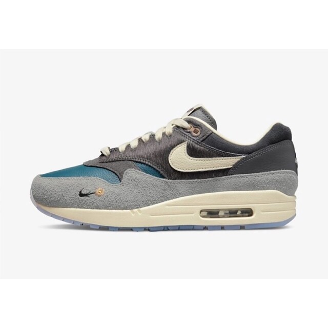 【25cm】Kasina × Nike Air Max 1 SP