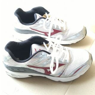 ミズノ(MIZUNO)のありすもも様専用 バスケットシューズ ミズノ 25.0cm(バスケットボール)