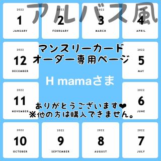 【H mamaさま専用ページ】マンスリーカード【アルバス風】(アルバム)