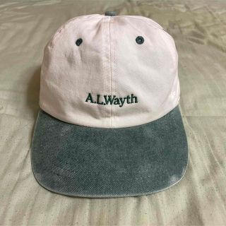 ワンエルディーケーセレクト(1LDK SELECT)のAlwayth 6PANEL(キャップ)