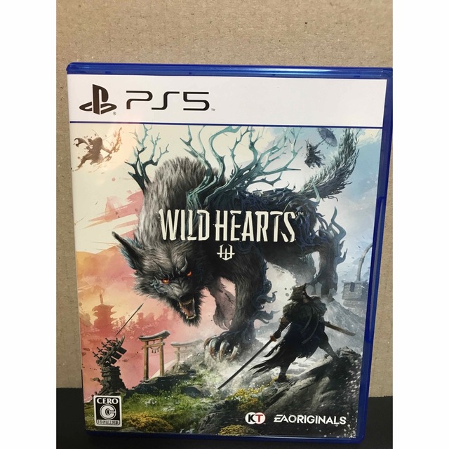 WILD HEARTS PS5