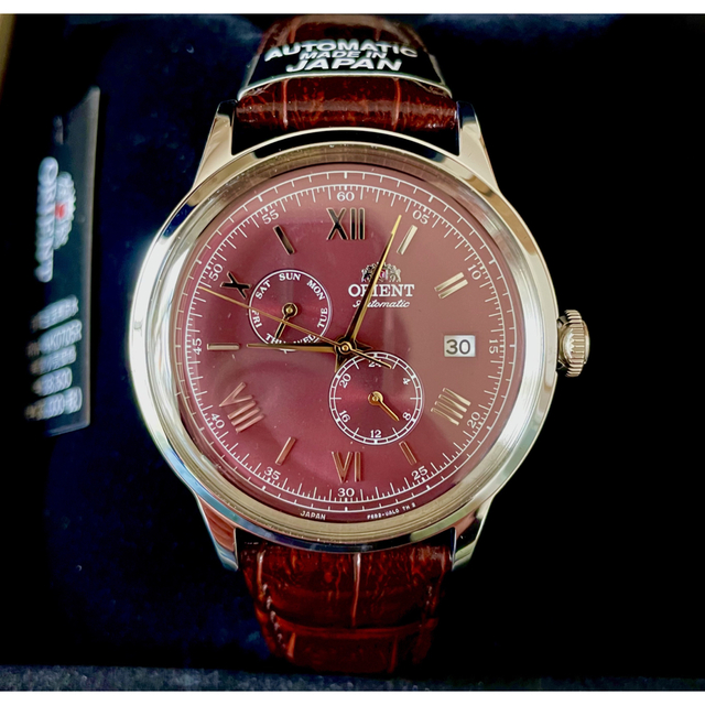 限定 ボルドーカラー Orient Bambino RN-AK0705R | myglobaltax.com