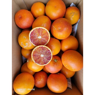 愛媛県産　ブラッドオレンジ　タロッコ　箱込み約4㎏　柑橘　ミカン(フルーツ)
