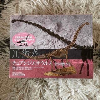 カイヨウドウ(海洋堂)の未使用🌟フィギュア01-06(その他)