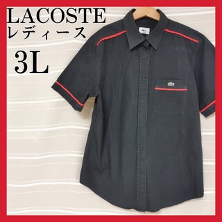 ラコステ(LACOSTE)のLACOSTE ラコステ レディース ワンポイントロゴ ワニロゴ ブラウス 3L(ポロシャツ)