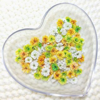 かすみ草 〖100粒以上〗ドライフラワー💐(ドライフラワー)