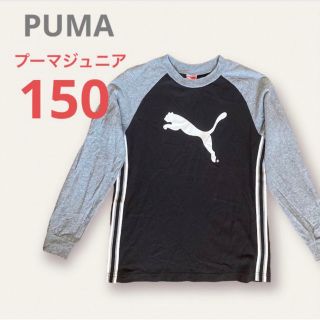 プーマ(PUMA)のプーマ ジュニア 長袖Tシャツ ロンT 150 サッカー キッズ 練習着(Tシャツ/カットソー)