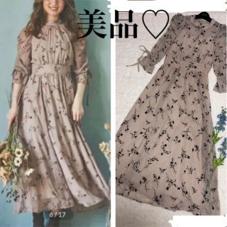 ノエラ(Noela)のノエラ♡美品　フロッキーフラワーロングワンピース　シフォン　花柄(ロングワンピース/マキシワンピース)